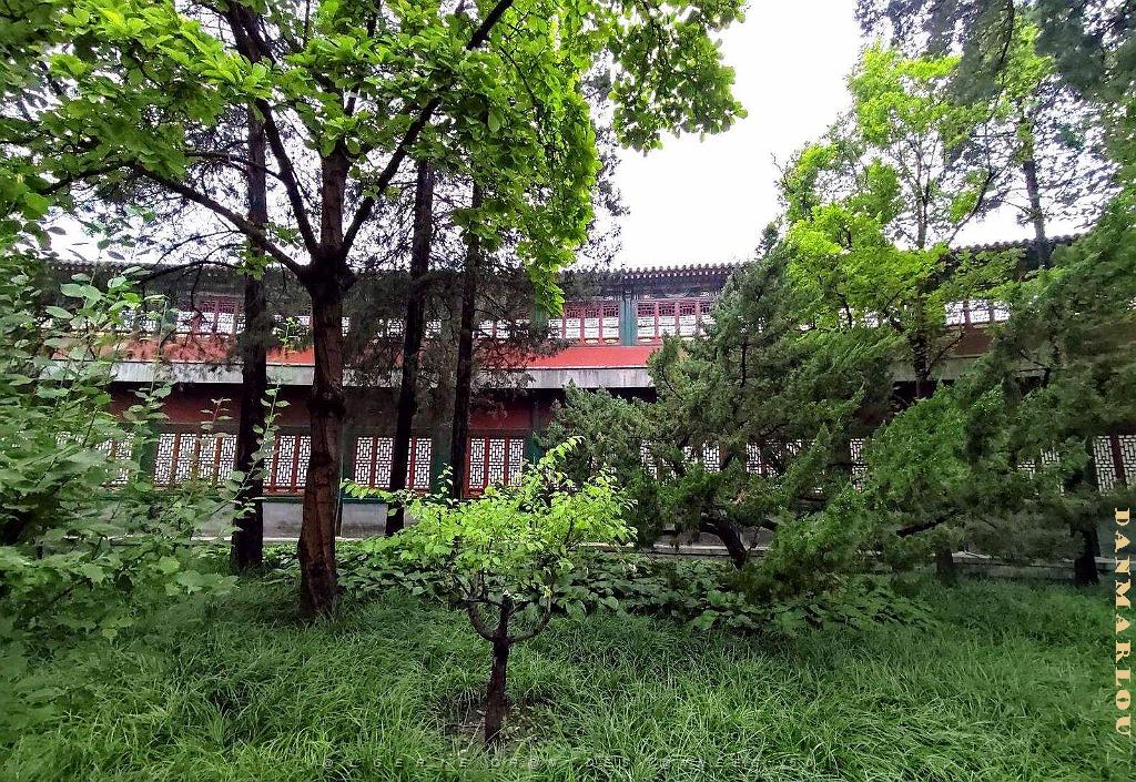 Pekin - Parc Beihai - 13 Juillet 2024 - 13.jpg